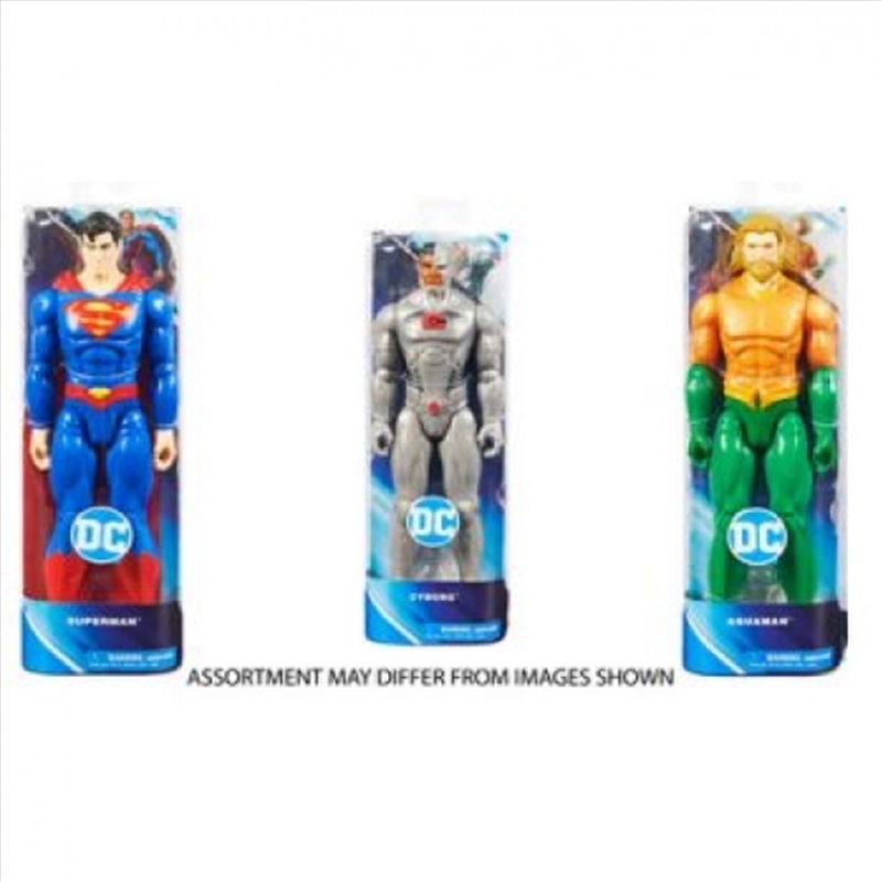 Dc Universe 12" Figure (SENT AT RANDOM)/Product Detail/Toys