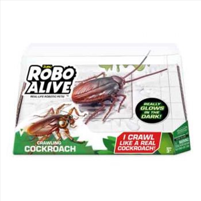 Robo Alive Glow In The Dark Crawling Cockroach/Product Detail/Toys