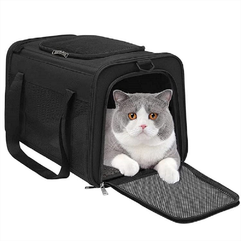 Floofi Portable Pet Carrier-M Size (Black) FI-PC-133-FCQ/Product Detail/Pet Accessories