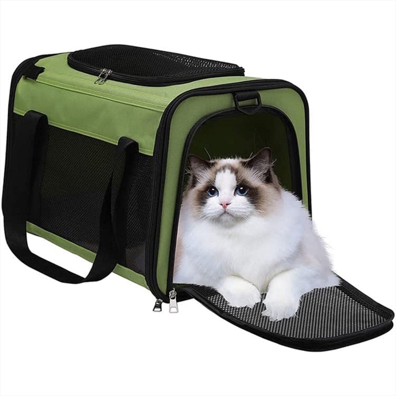 Floofi Portable Pet Carrier-L Size (Green) FI-PC-140-FCQ/Product Detail/Pet Accessories