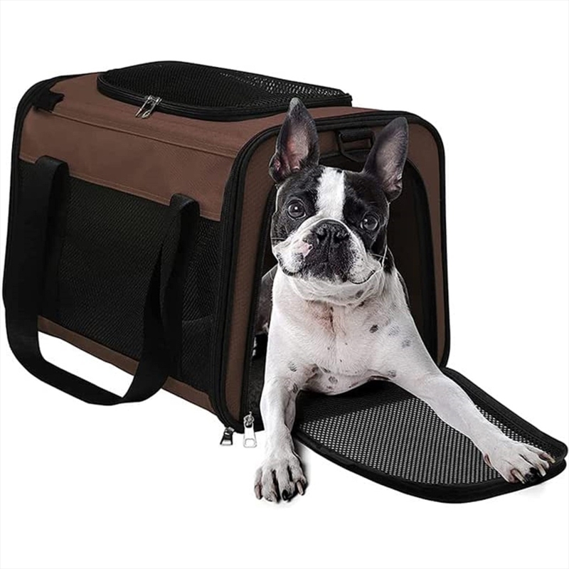 Floofi Portable Pet Carrier-L Size (Brown) FI-PC-139-FCQ/Product Detail/Pet Accessories