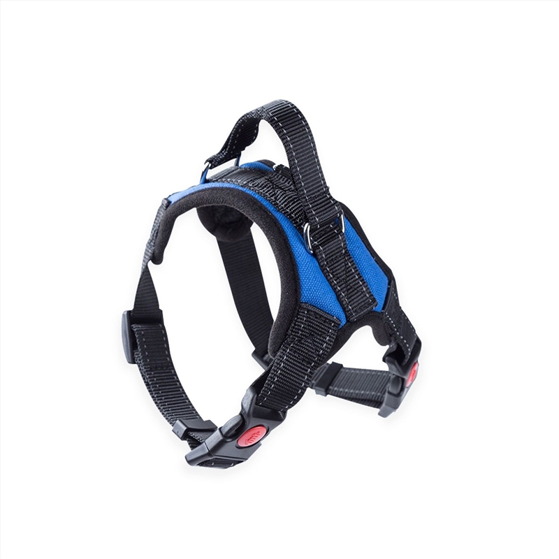 FLOOFI Dog Harness XXL Size (Blue) FI-PC-163-XL/Product Detail/Pet Accessories