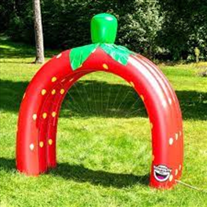 Strawberry Tunnel Sprinkler/Product Detail/Outdoor and Pool Games