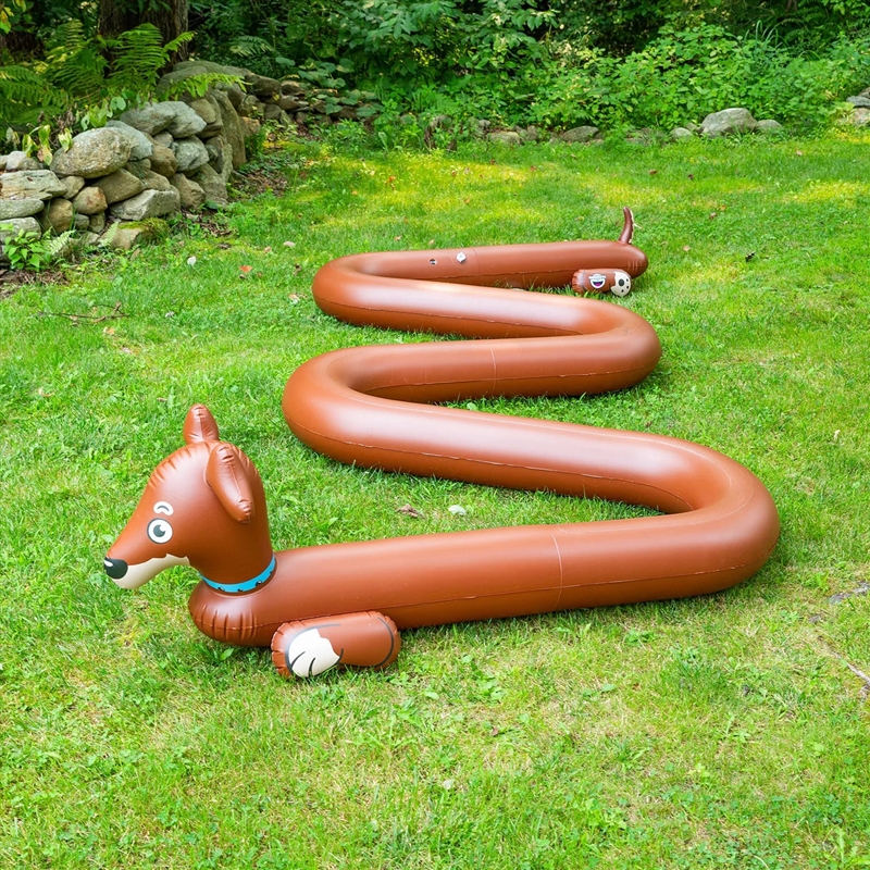 Weiner Dog Sprinkler/Product Detail/Outdoor and Pool Games