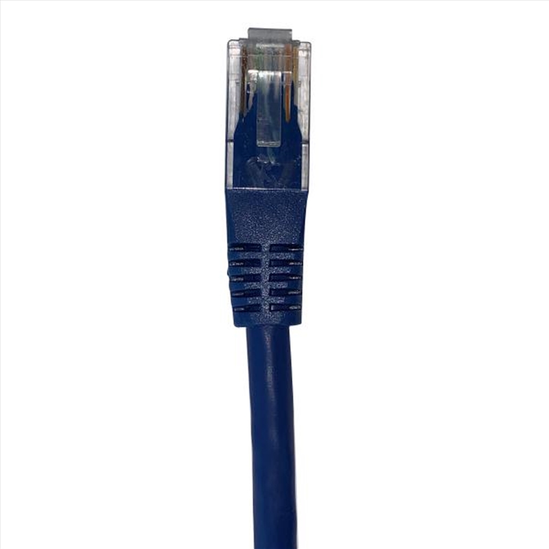 Shintaro Cat6 24 AWG Patch Lead Blue 5m/Product Detail/Cables