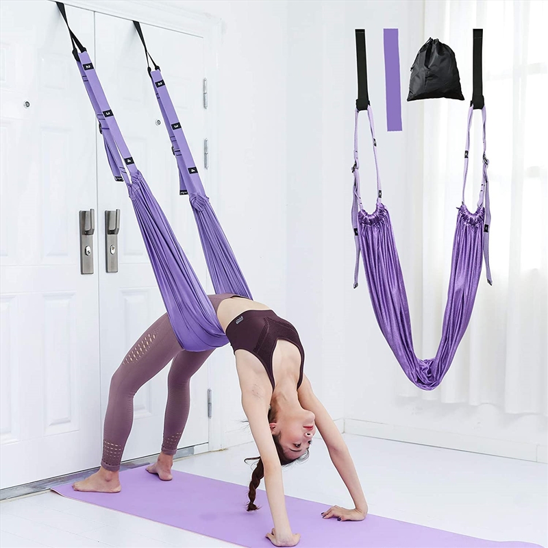 Purple Fitness Yoga Strap Ba/Product Detail/Gym Accessories