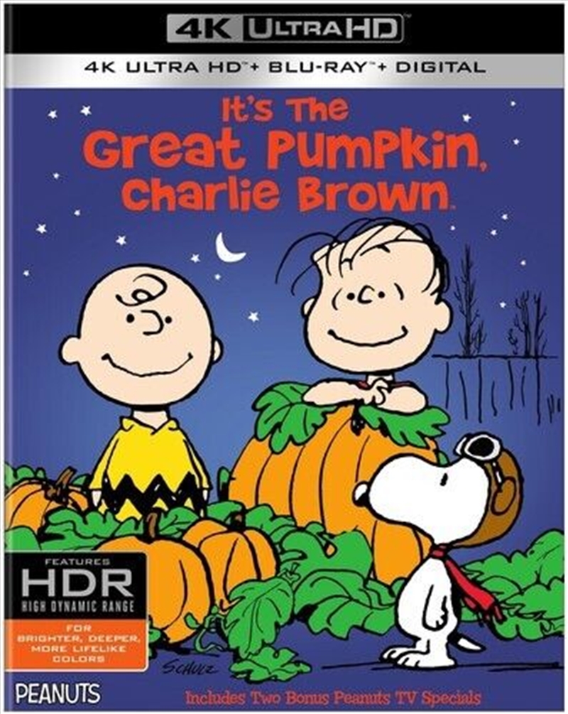 Its The Great Pumpkin Charlie Brown/Product Detail/Animated