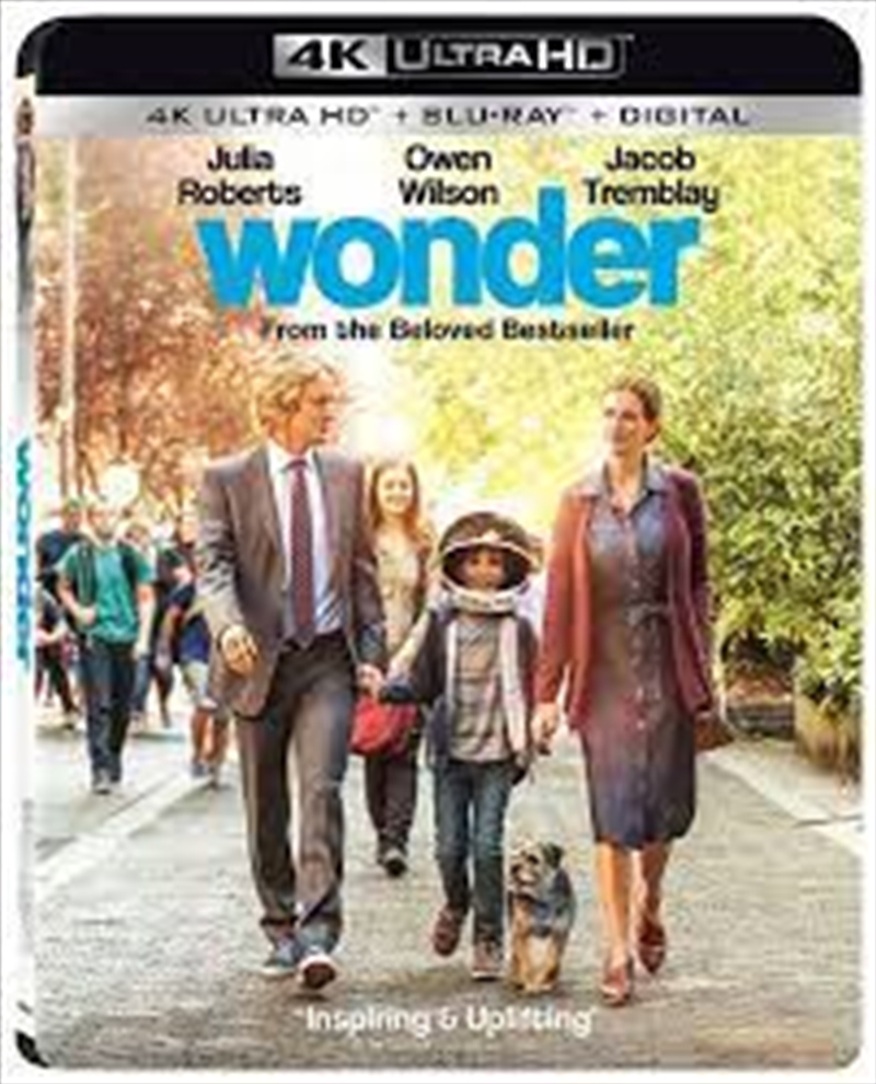 Wonder/Product Detail/Drama