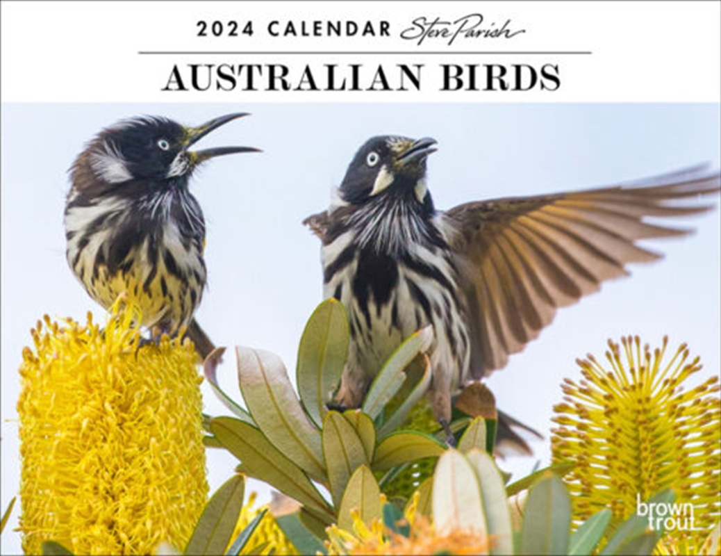 Buy Australian Birds Steve Paris 2024 Online Sanity   SDC 2765955 2023 02 5  16 07 24 