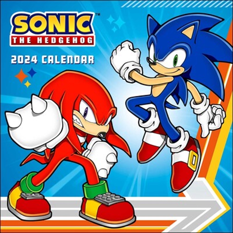 Buy Sonic The Hedgehog 2024 Square Online Sanity