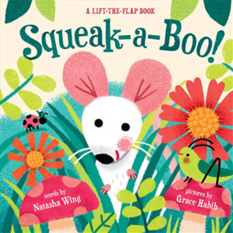 Squeak-A-Boo/Product Detail/Childrens Fiction Books