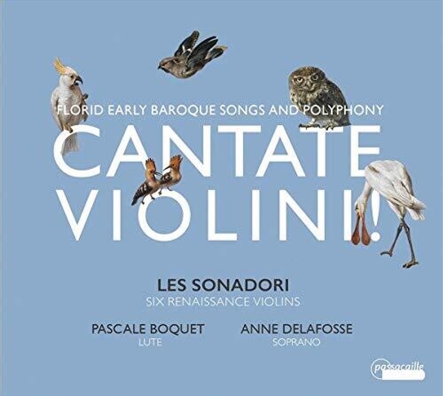 Cantate Violini/Product Detail/Compilation