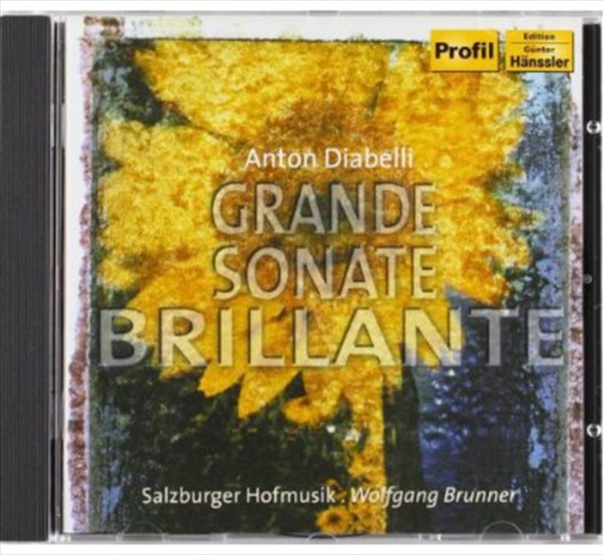 Diabelli: Grande Sonate Brillante/Product Detail/Classical