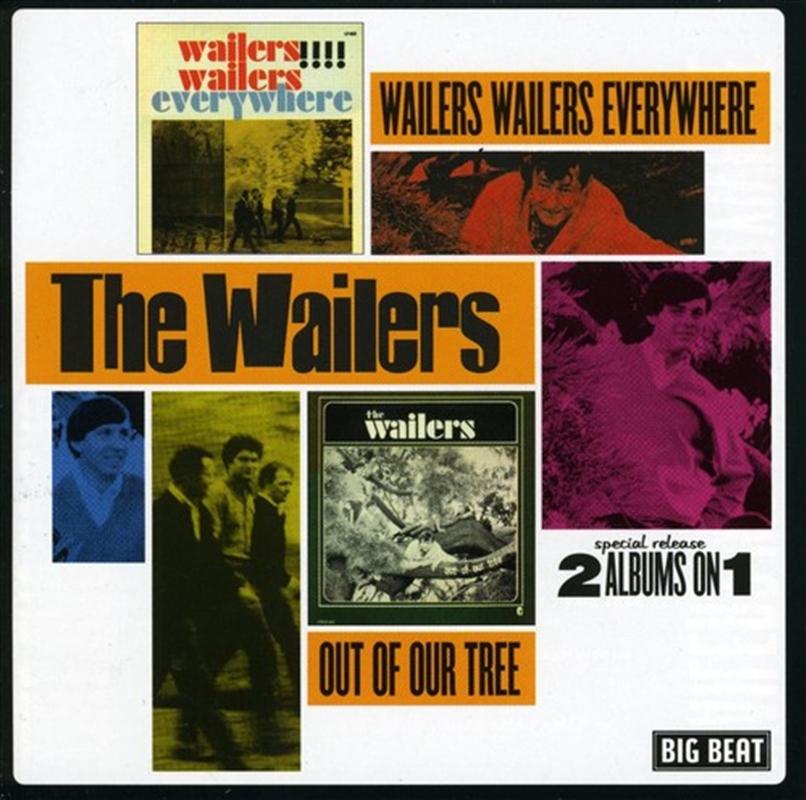 Wailers Wailers Everywhere / Out Of Our Tree/Product Detail/Rock