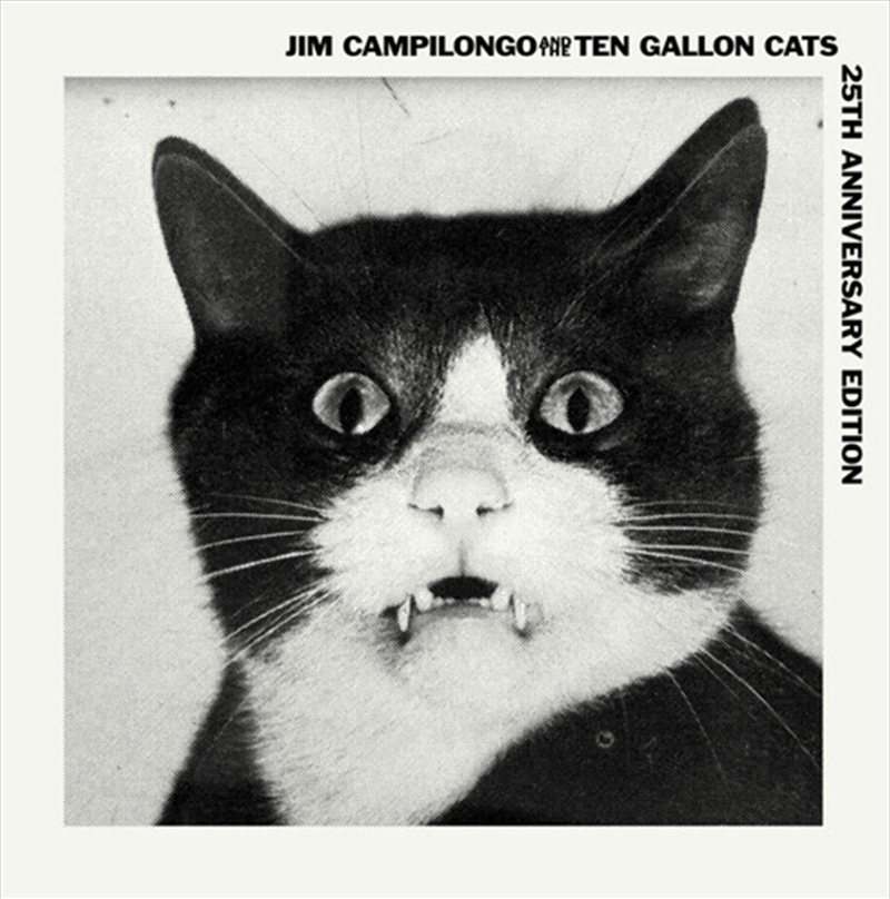 Campilongo And 10 Gallon Cats/Product Detail/Rock/Pop