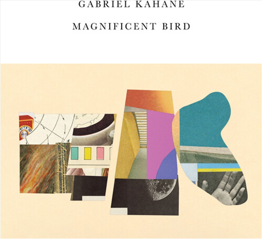 Magnificent Bird/Product Detail/Rock/Pop