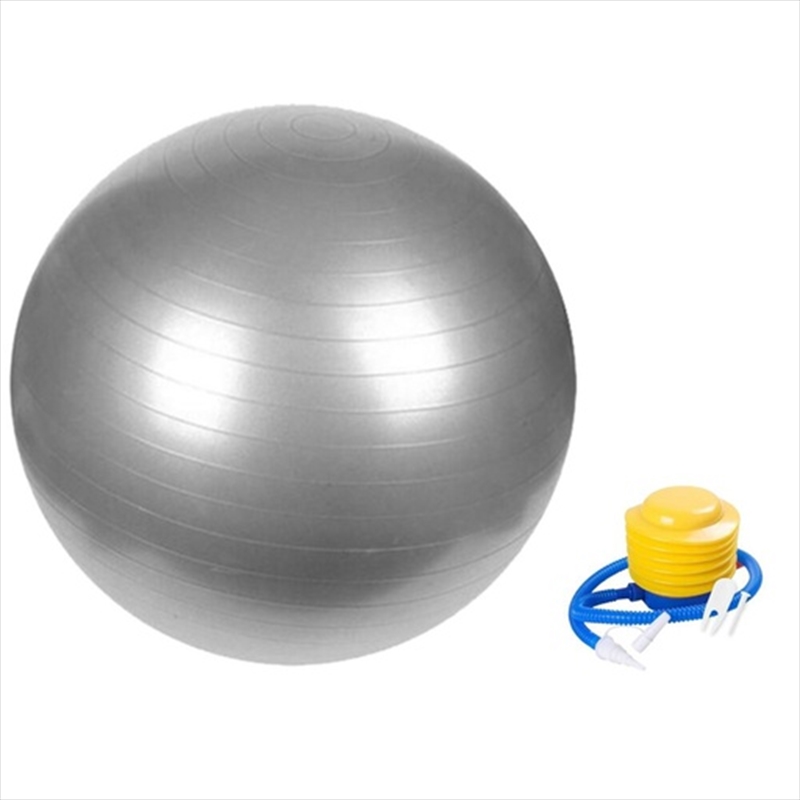 VERPEAK Yoga Ball 75cm (Silver)/Product Detail/Gym Accessories