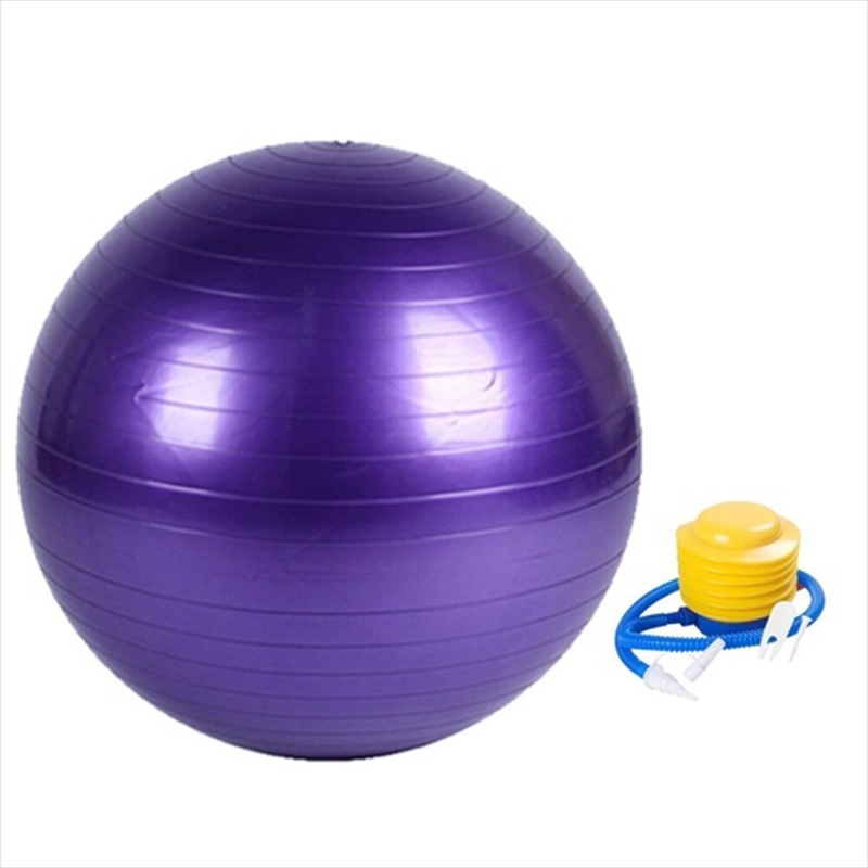 VERPEAK Yoga Ball 75cm (Purple)/Product Detail/Gym Accessories