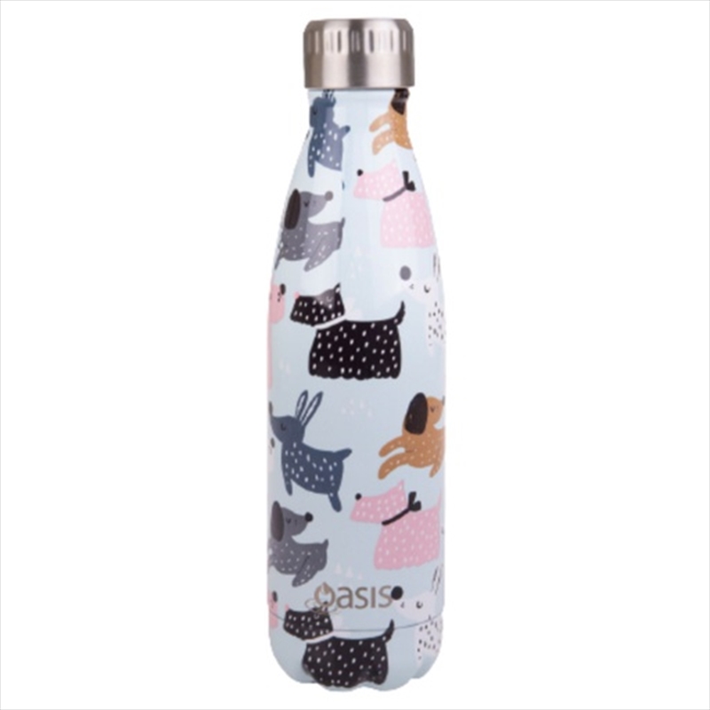 Oasis Stainless Steel Double Wall Insulated Drink Bottle 500ml - Dog Park/Product Detail/Drink Bottles