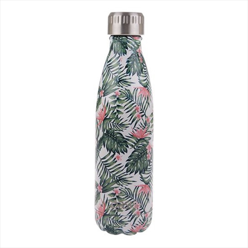 Oasis Stainless Steel Double Wall Insulated Drink Bottle 500ml - Bird Of Paradise/Product Detail/Drink Bottles