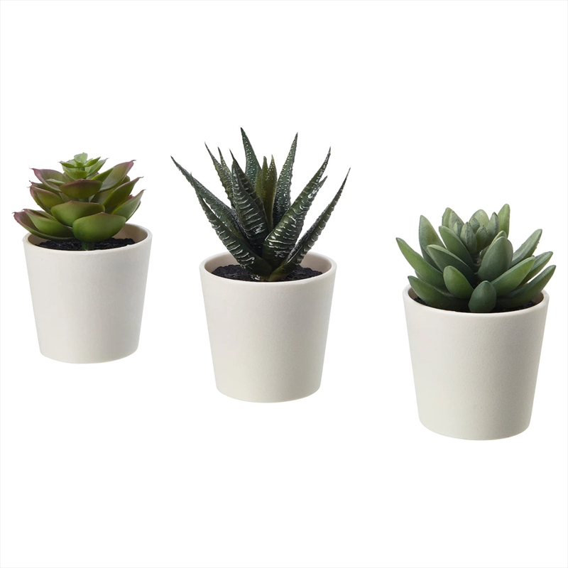 3 Pack of Artificial Succulent Potted Plants in White Plastic 6cm Pot Interior Decoration/Product Detail/Outdoor