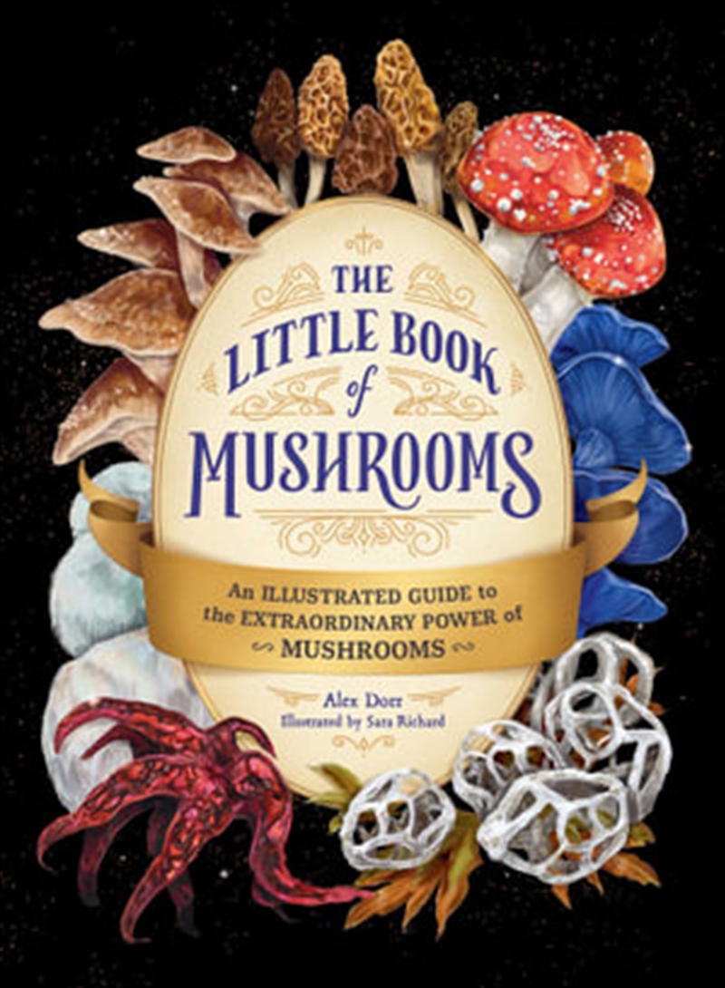 Little Book of Mushrooms/Product Detail/Animals & Nature