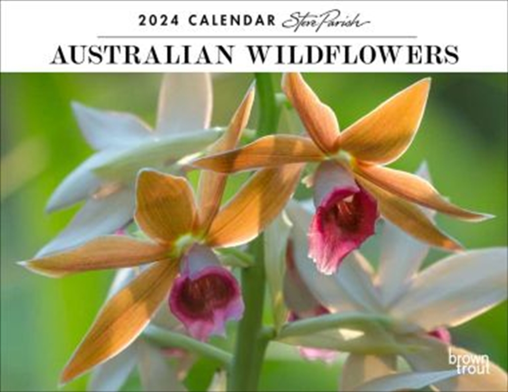 Buy Australian Wildflowers Steve Parish 2024 12 x 19 Inch Monthly