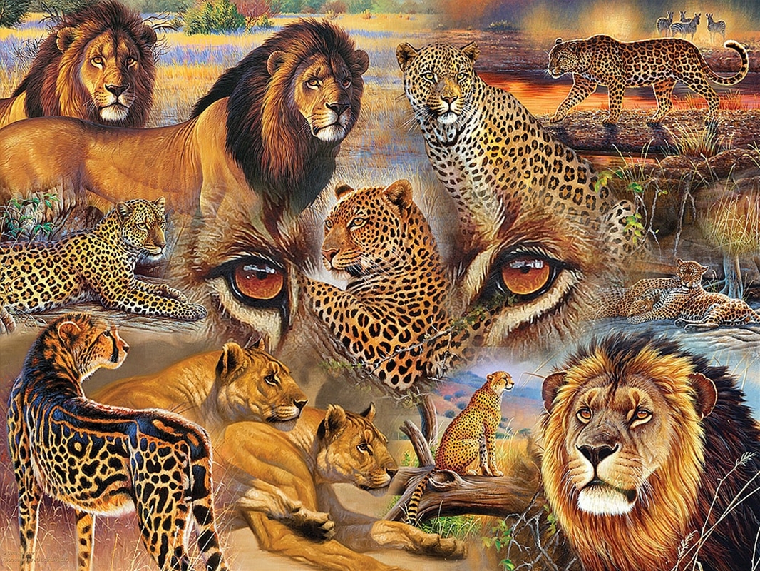 Big Cats Of The Plains 500 Piece/Product Detail/Jigsaw Puzzles