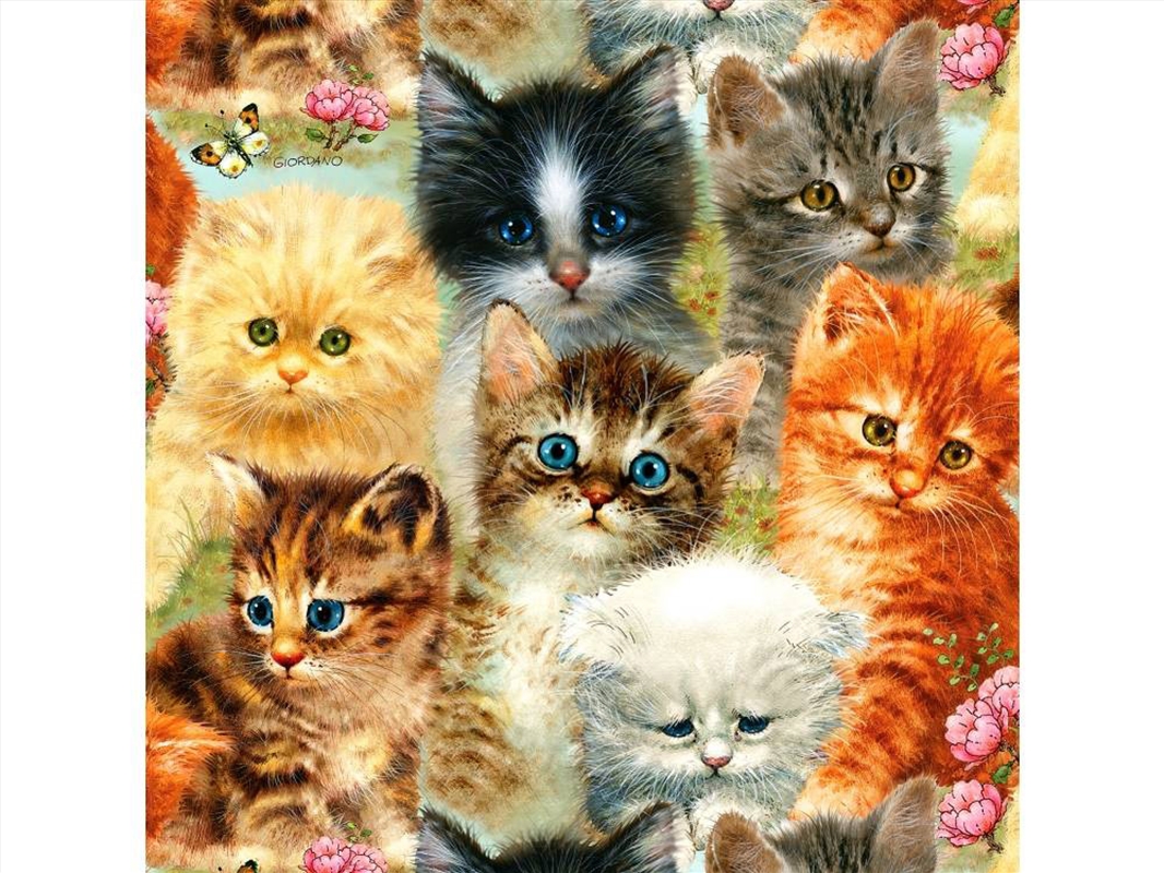 A Pile Of Kittens 1000 Piece/Product Detail/Jigsaw Puzzles