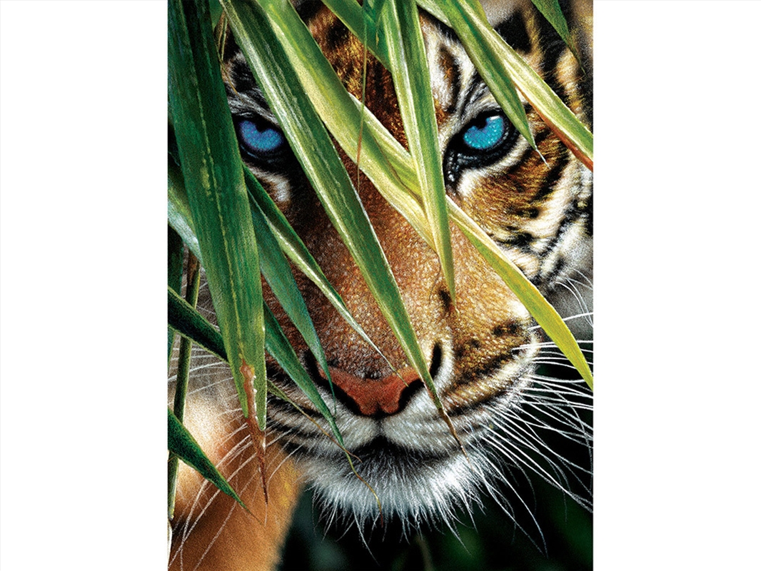 Blue Eyes 1000 Piece/Product Detail/Jigsaw Puzzles