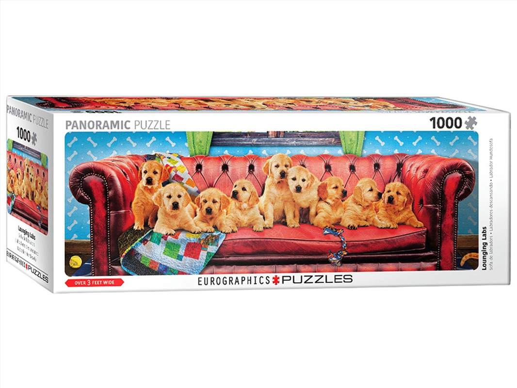 Lounging Labs Panoramic 1000 Piece/Product Detail/Jigsaw Puzzles