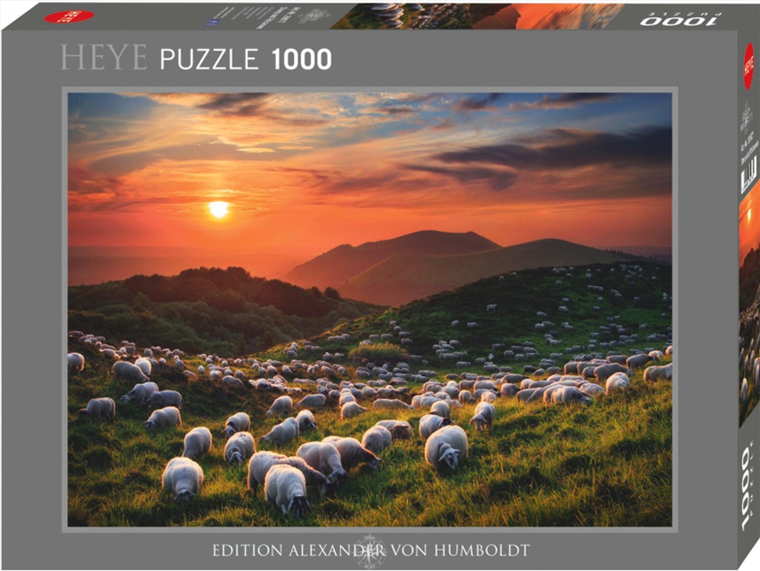 Sheep And Volcanoes 1000 piece/Product Detail/Jigsaw Puzzles