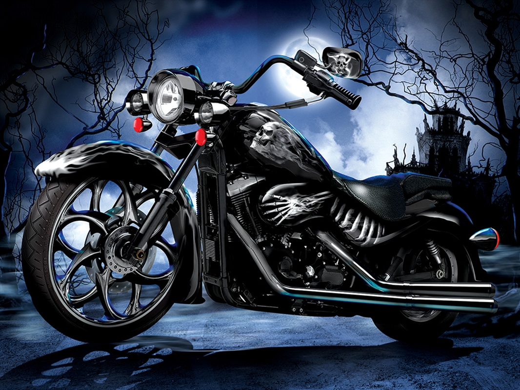 Skeleton Ride 1000 Piece/Product Detail/Jigsaw Puzzles