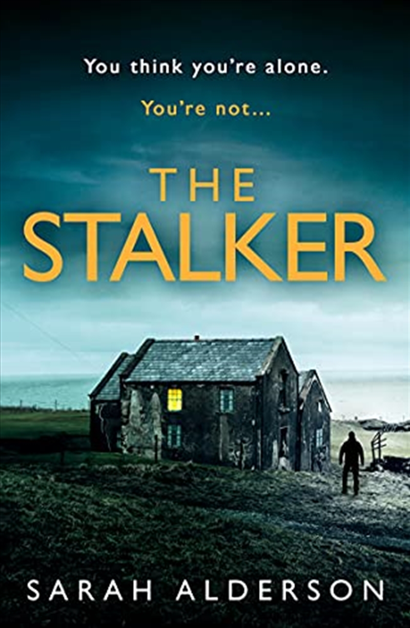 The Stalker: a dark and gripping psychological thriller with a jaw-dropping ending/Product Detail/Crime & Mystery Fiction