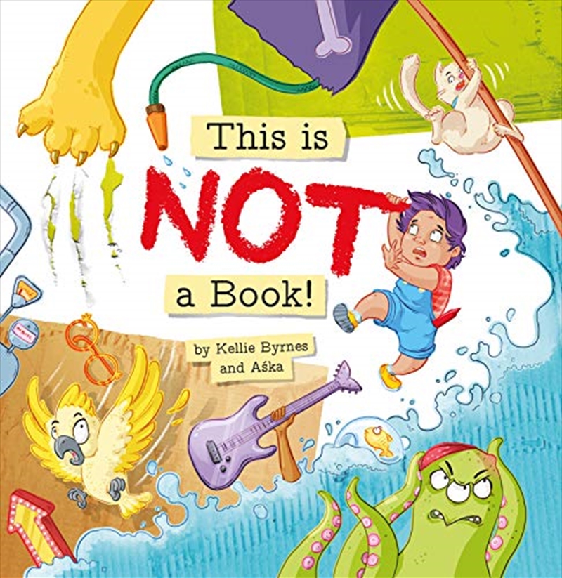 This is NOT a Book!/Product Detail/Early Childhood Fiction Books