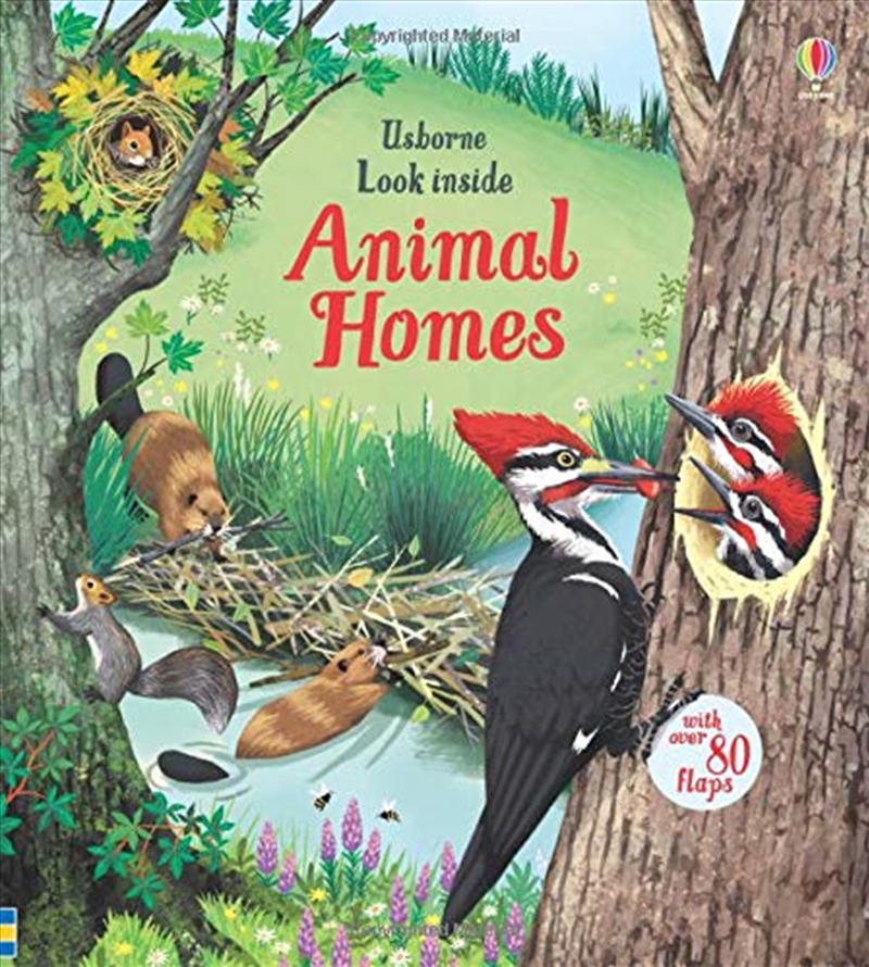 Look Inside Animal Homes/Product Detail/Early Childhood Fiction Books