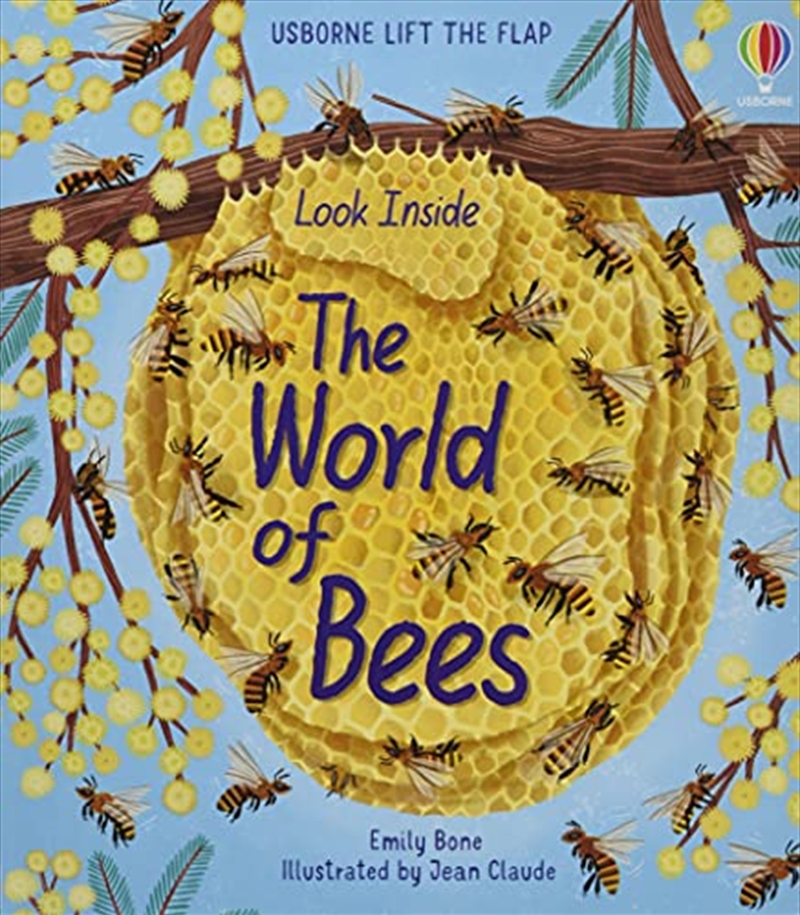 Look Inside the World of Bees/Product Detail/Early Childhood Fiction Books