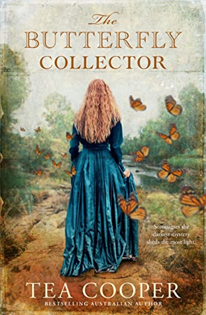 The Butterfly Collector/Product Detail/General Fiction Books