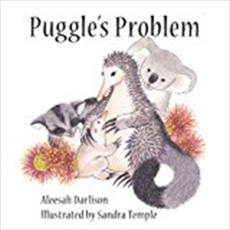 Puggle's Problem/Product Detail/Childrens Fiction Books