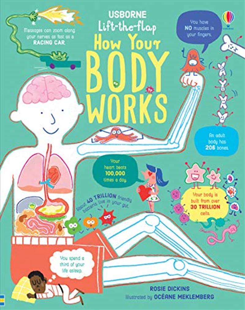 Lift-the-Flap How Your Body Works/Product Detail/Early Childhood Fiction Books