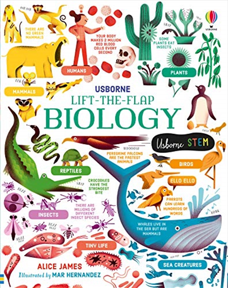 Lift-the-Flap Biology/Product Detail/Early Childhood Fiction Books