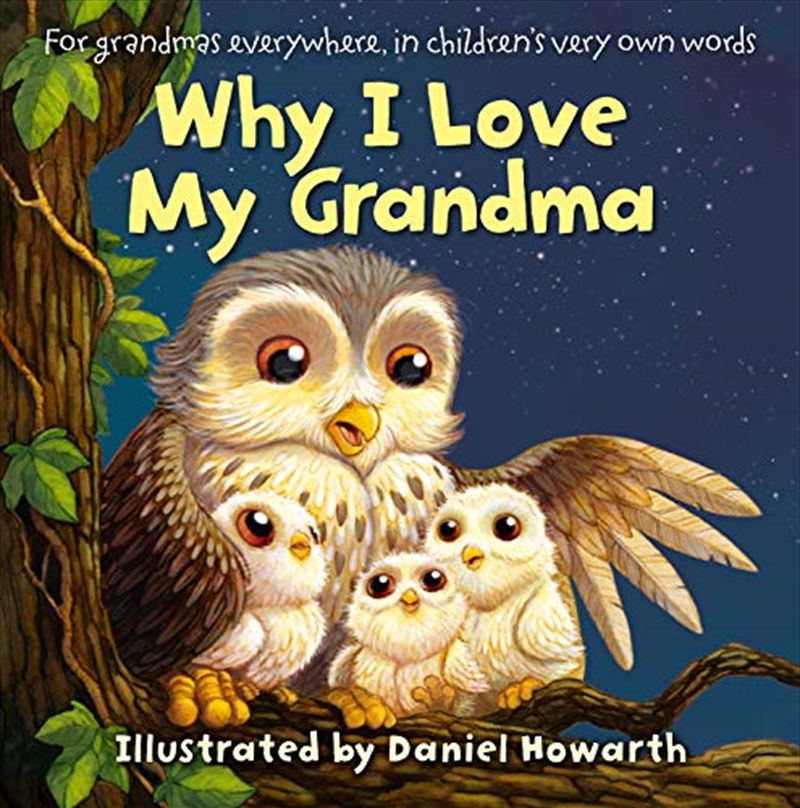 Why I Love My Grandma/Product Detail/Early Childhood Fiction Books