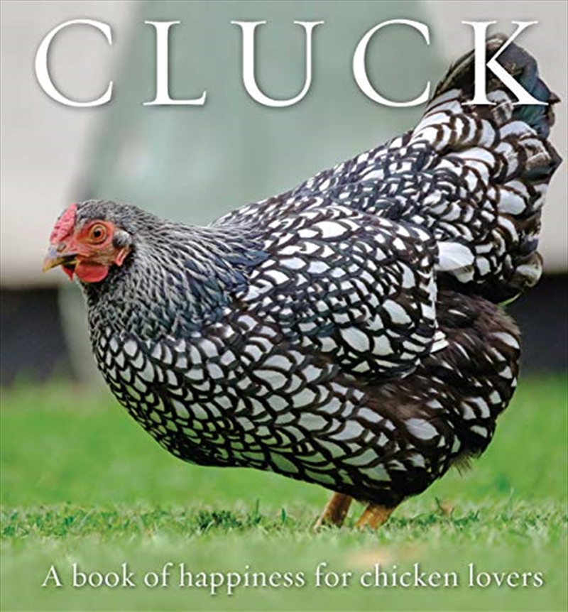 Cluck: A Book of Happiness for Chicken Lovers (Animal Happiness)/Product Detail/Animals & Nature