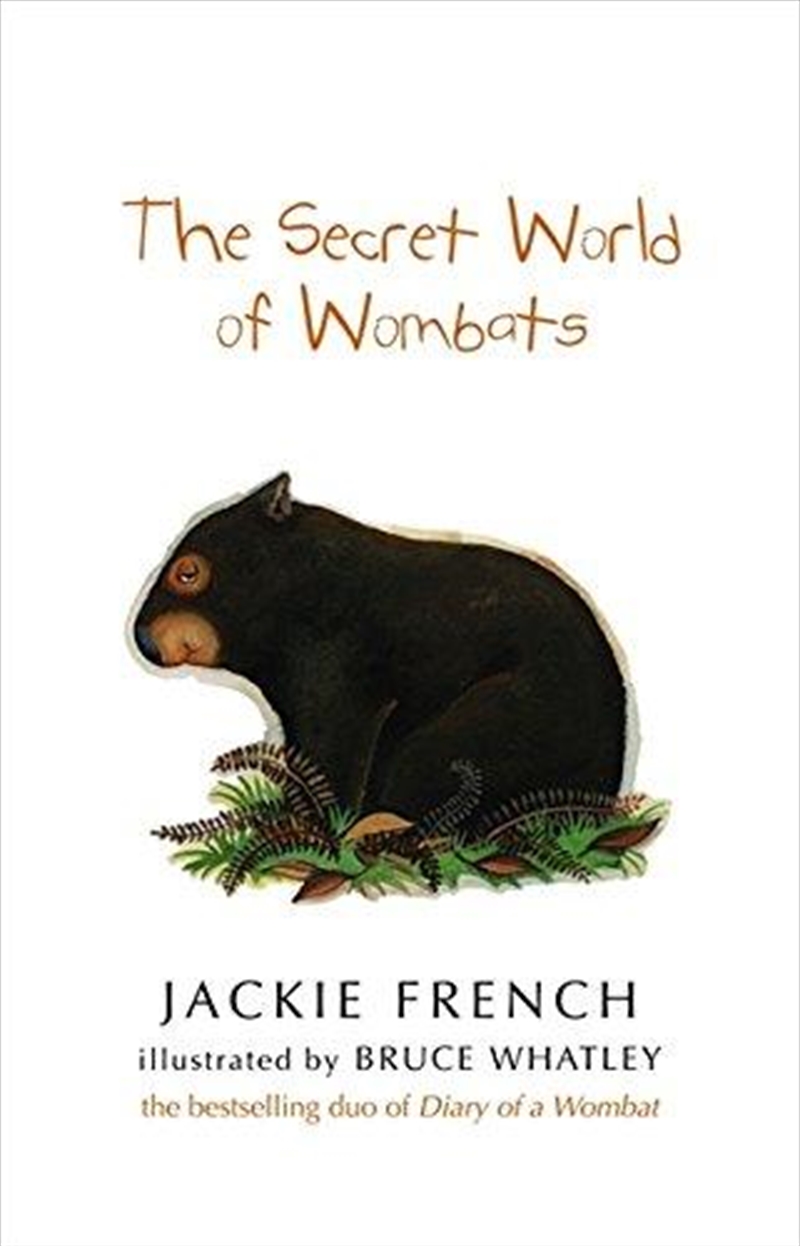 The Secret World of Wombats/Product Detail/Childrens Fiction Books