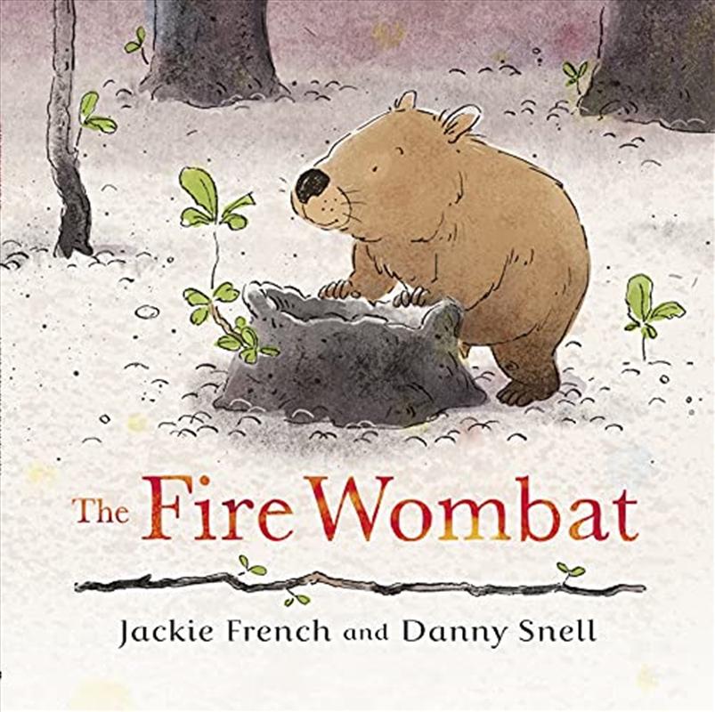 The Fire Wombat/Product Detail/Childrens Fiction Books