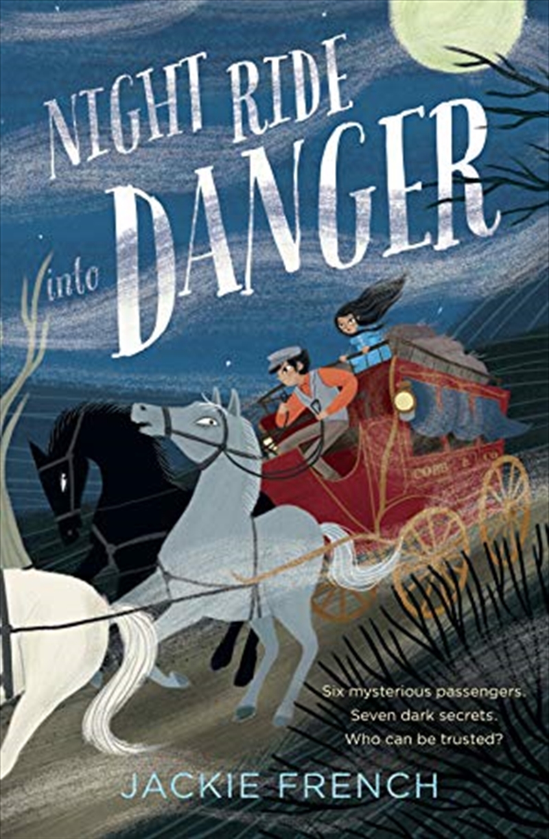 Night Ride into Danger/Product Detail/Childrens Fiction Books