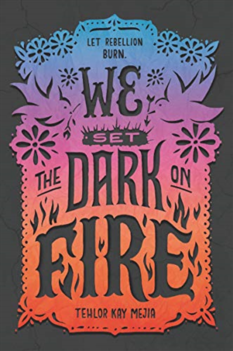 We Set the Dark on Fire/Product Detail/Childrens Fiction Books