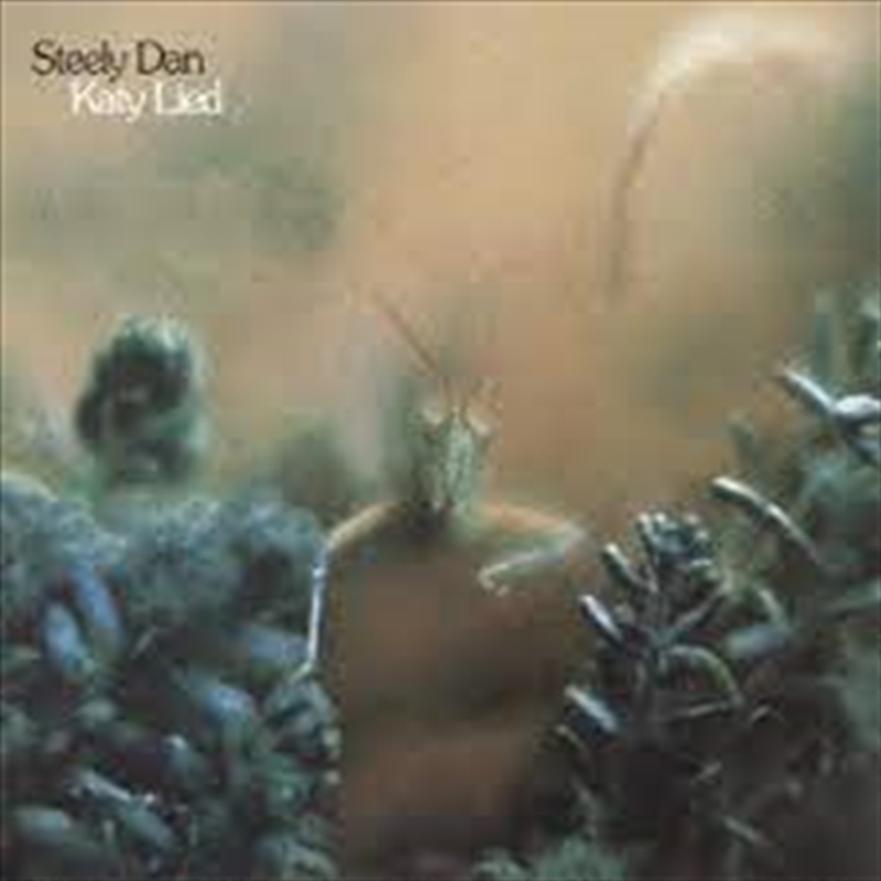 Katy Lied/Product Detail/Rock/Pop