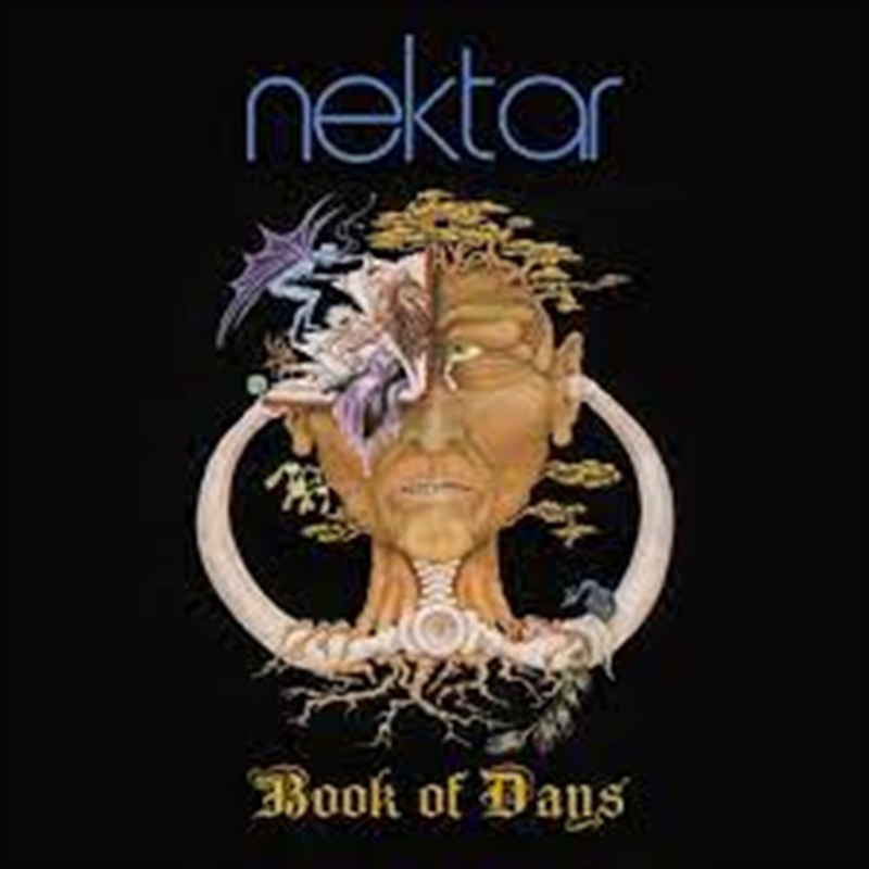 Book Of Days: Deluxe Edition/Product Detail/Rock/Pop