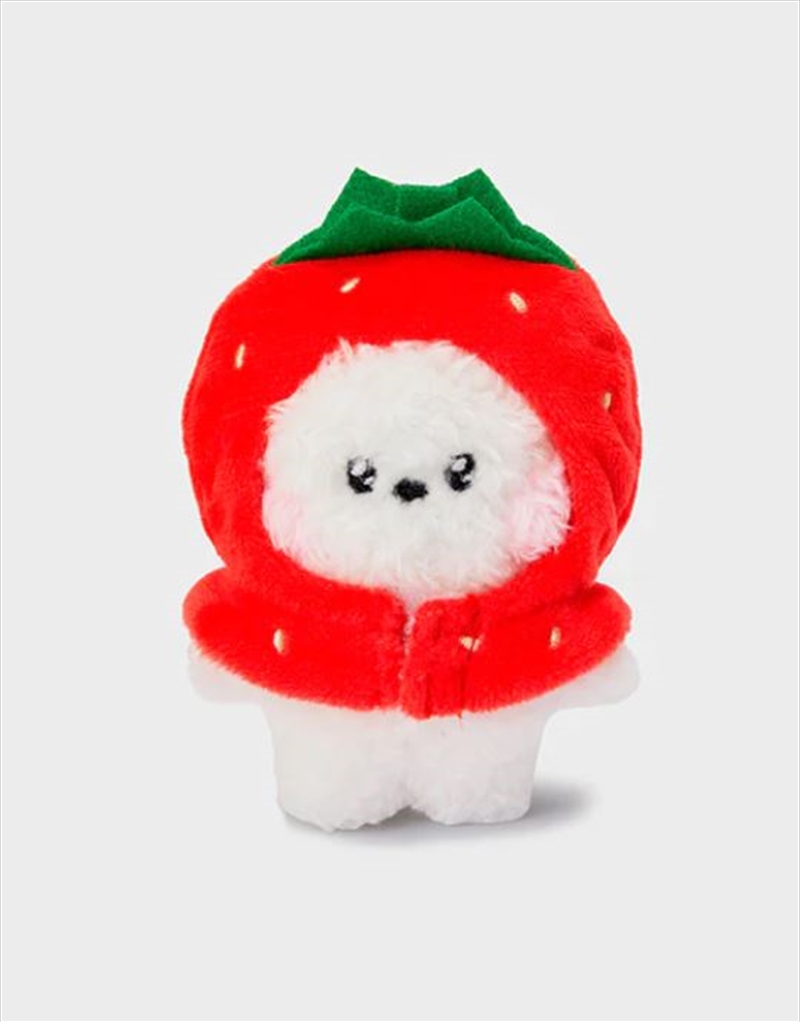 BT21 Fresh Mini Minini Grocery Fruit: RJ/Product Detail/KPOP Merch